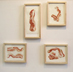 framed bacon drawings